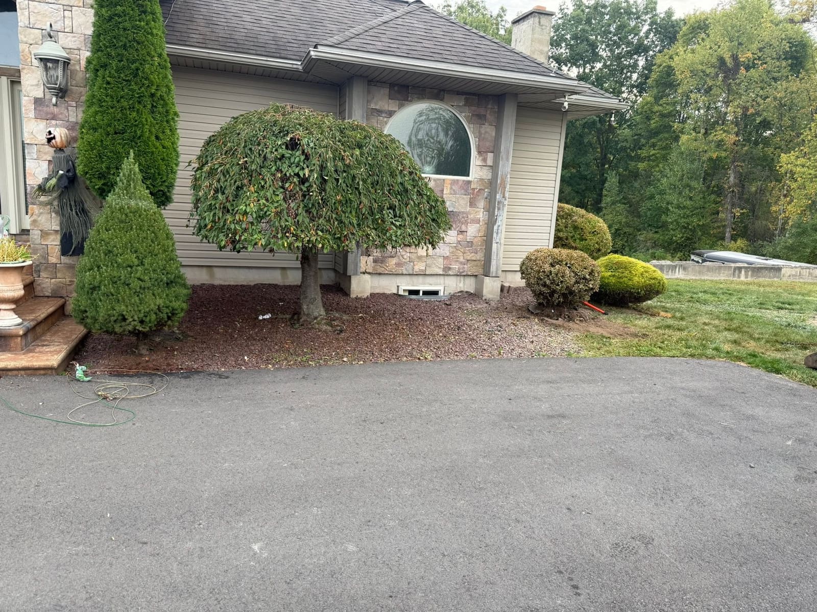 Home with freshly trimmed ornamental shrubs and a clean driveway