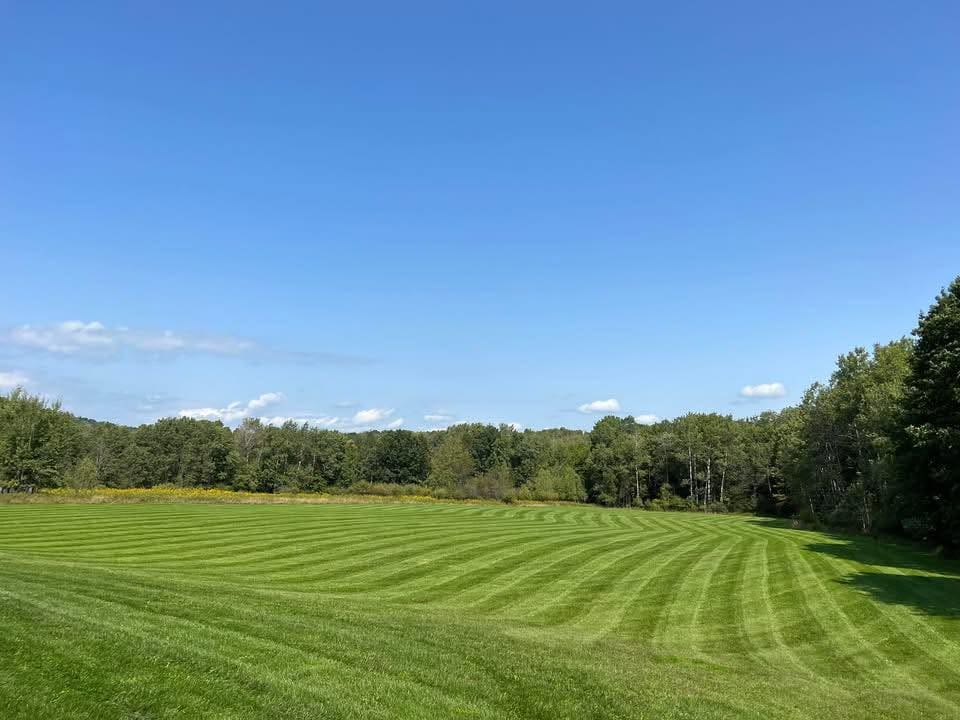 Large lawn freshly mowed in clean alternating stripes